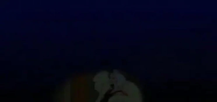 Мышиный дом